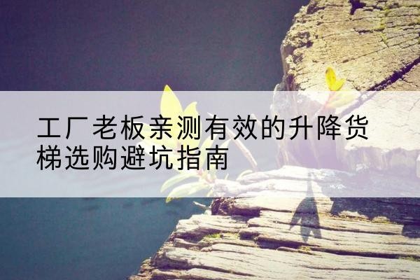 临泉升降货梯怎么选-工厂老板亲测有效的升降货梯选购避坑指南