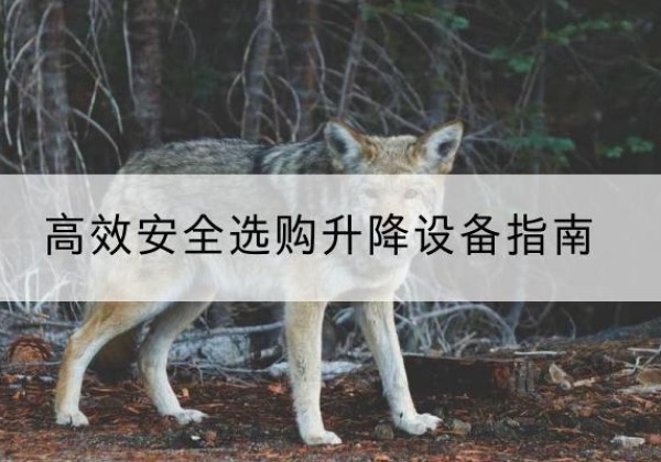 临泉升降货梯厂家推荐-*安全选购升降设备指南