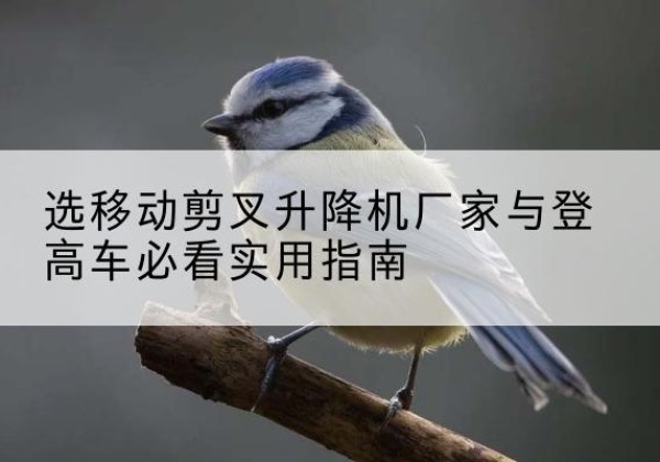 临泉电动升降机厂家-选移动剪叉升降机厂家与登高车必看实用指南