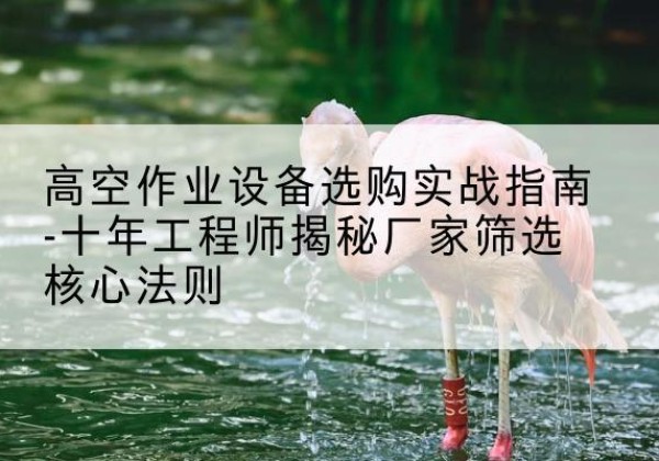 临泉剪叉式升降机厂家-高空作业设备选购实战指南-十年工程师揭秘厂家筛选核心法则