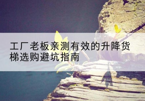 临泉升降货梯怎么选-工厂老板亲测有效的升降货梯选购避坑指南